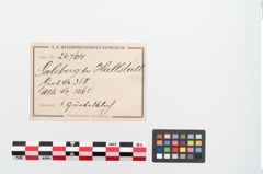 Etiketten zu Bronzegürtelblech (NHMW-PRAE-024764)